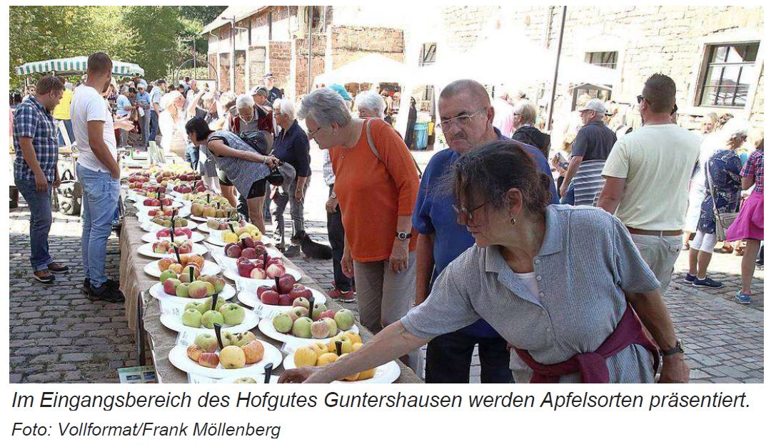Kelterfest auf dem Kühkopf gut besucht – Förderverein Hofgut Guntershausen  e.V.